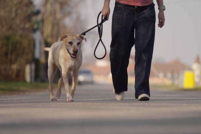 Gemeinsam in Bewegung bleiben
